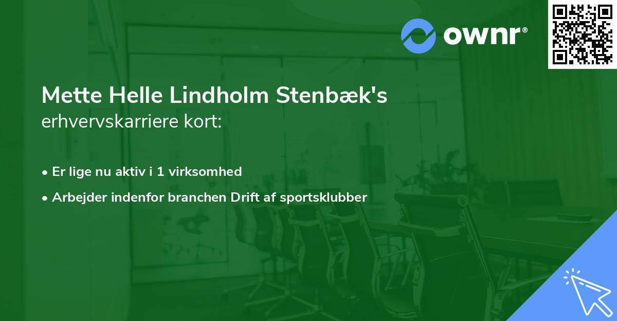 Mette Helle Lindholm Stenbæk's erhvervskarriere kort
