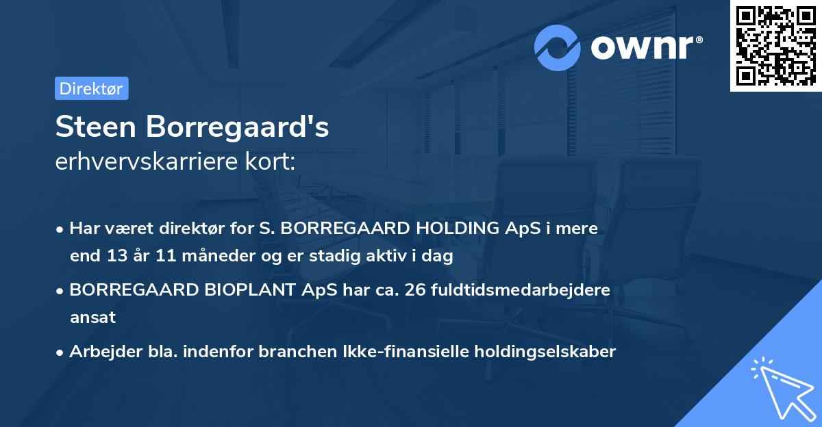 Steen Borregaard's erhvervskarriere kort