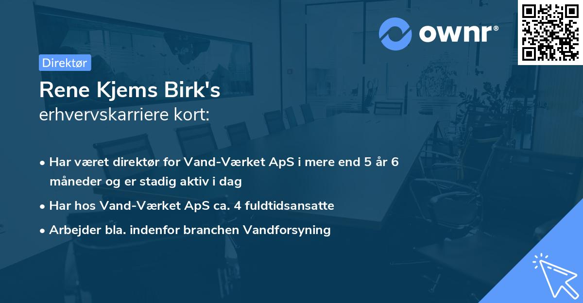 Rene Kjems Birk's erhvervskarriere kort