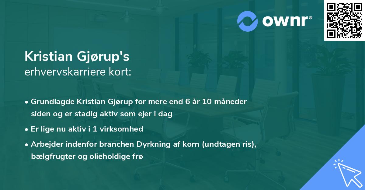Kristian Gjørup's erhvervskarriere kort