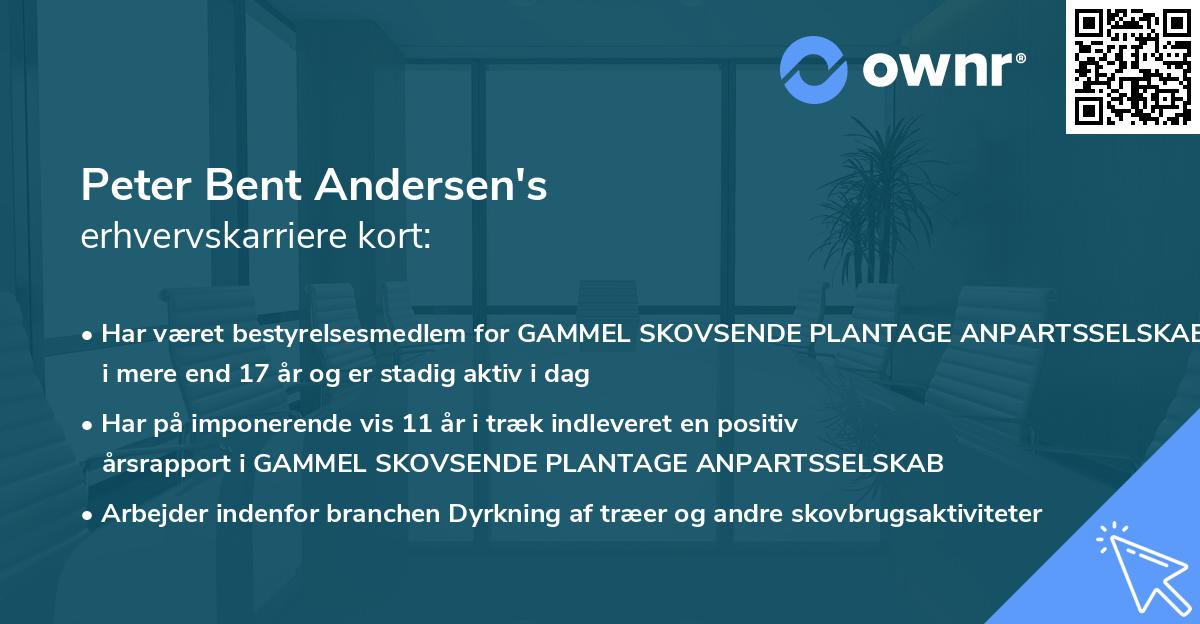 Peter Bent Andersen's erhvervskarriere kort