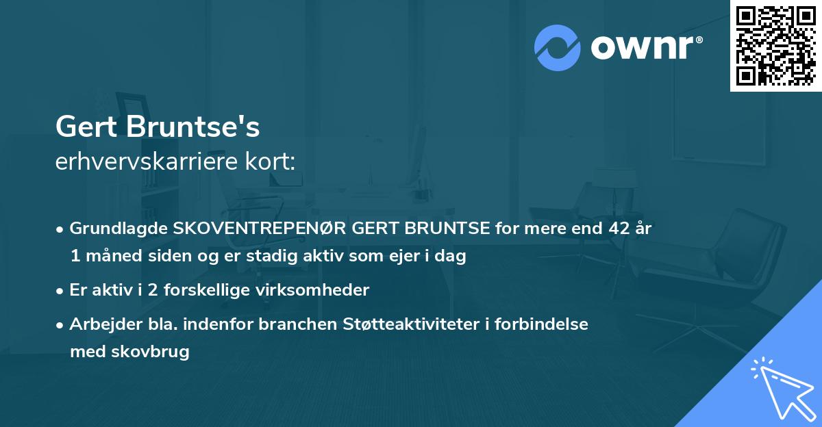 Gert Bruntse's erhvervskarriere kort