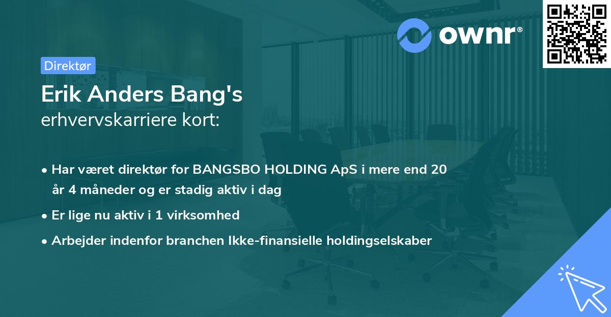 Erik Anders Bang's erhvervskarriere kort