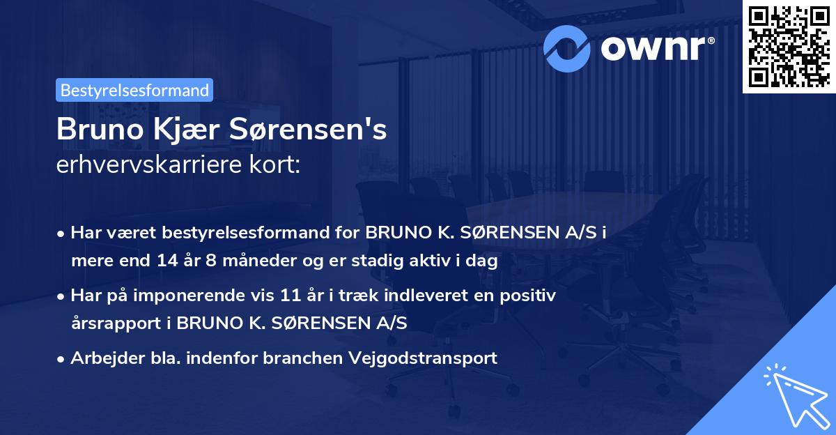 Bruno Kjær Sørensen's erhvervskarriere kort