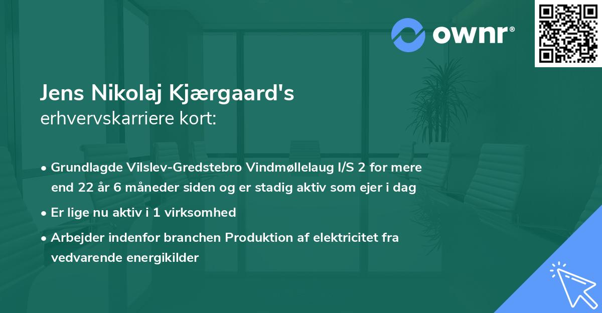 Jens Nikolaj Kjærgaard's erhvervskarriere kort