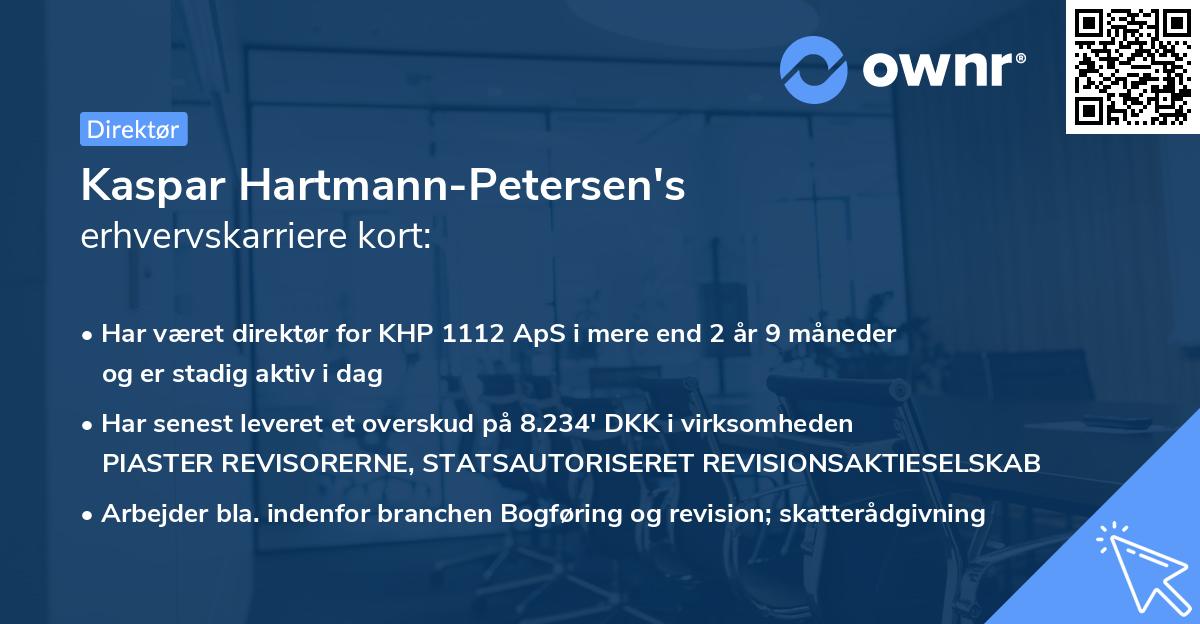 Kaspar Hartmann-Petersen's erhvervskarriere kort