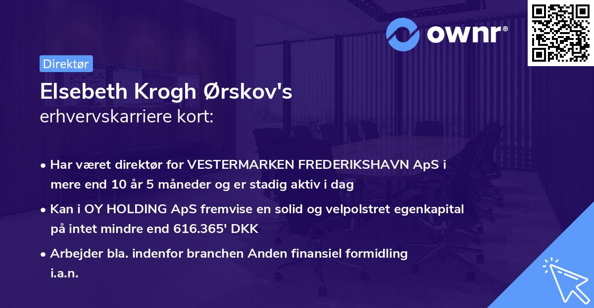 Elsebeth Krogh Ørskov's erhvervskarriere kort
