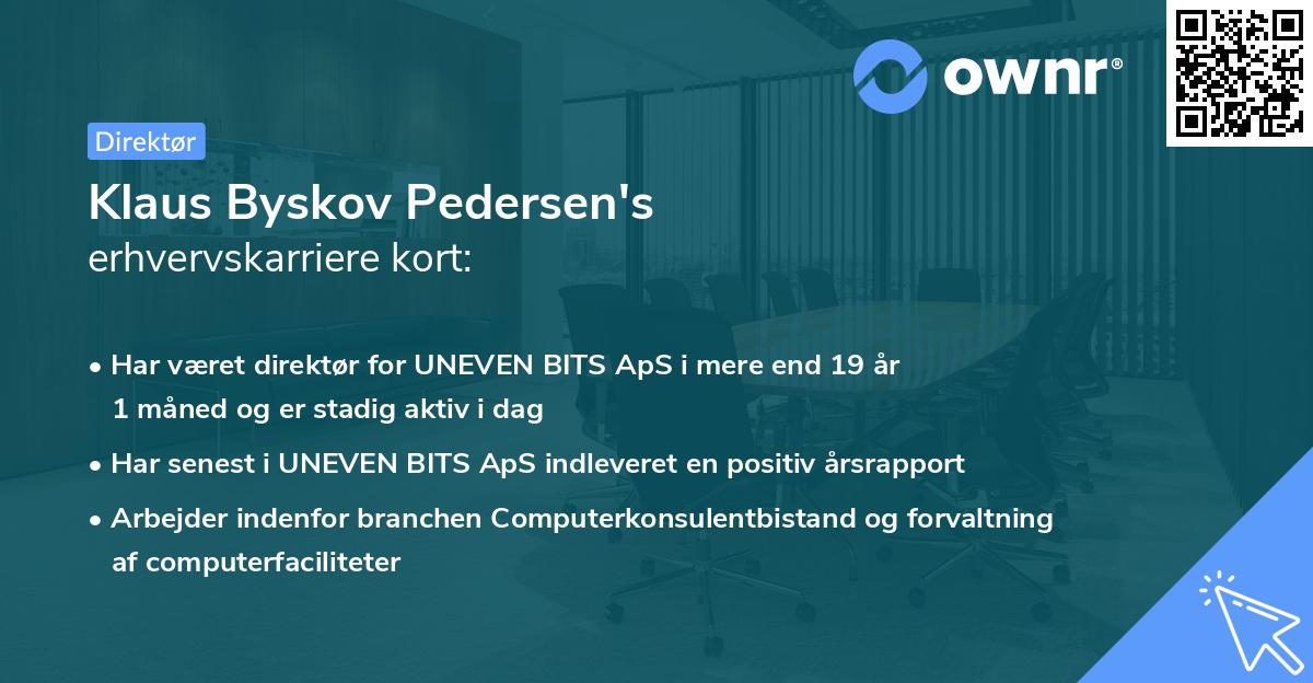 Klaus Byskov Pedersen's erhvervskarriere kort