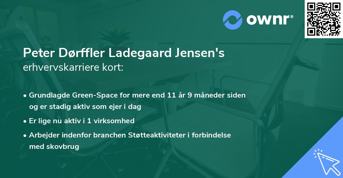 Peter Dørffler Ladegaard Jensen's erhvervskarriere kort