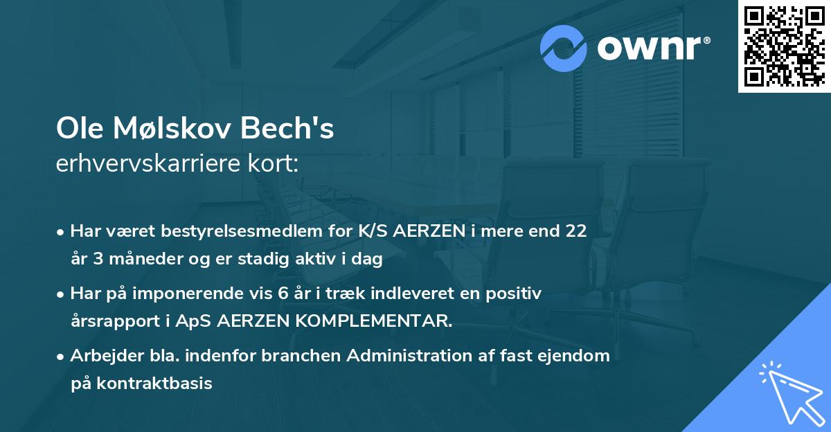 Ole Mølskov Bech's erhvervskarriere kort