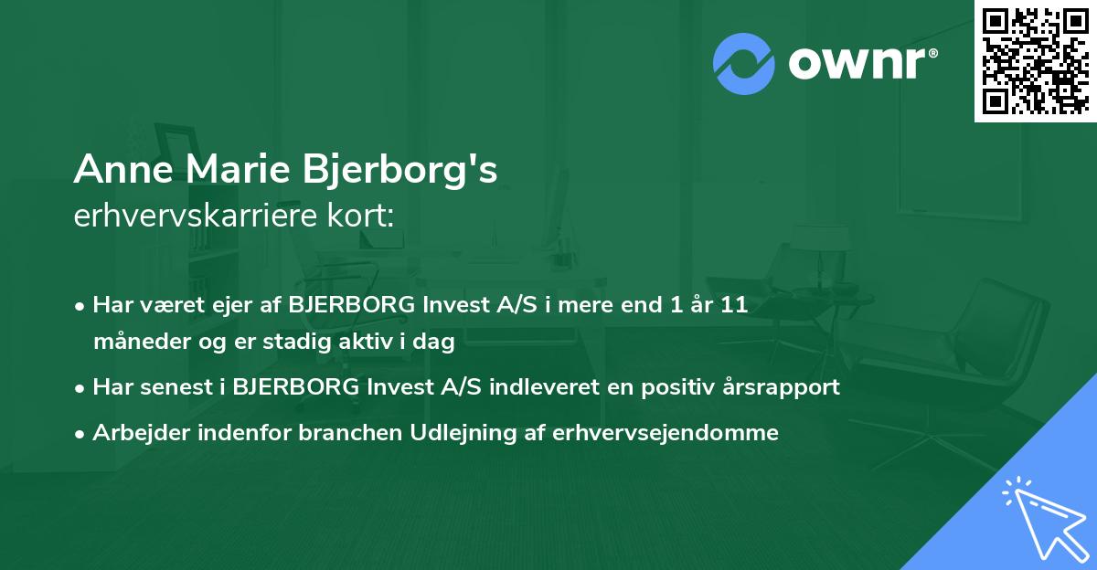Anne Marie Bjerborg's erhvervskarriere kort