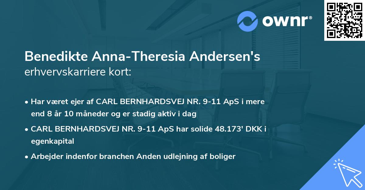 Benedikte Anna-Theresia Andersen's erhvervskarriere kort