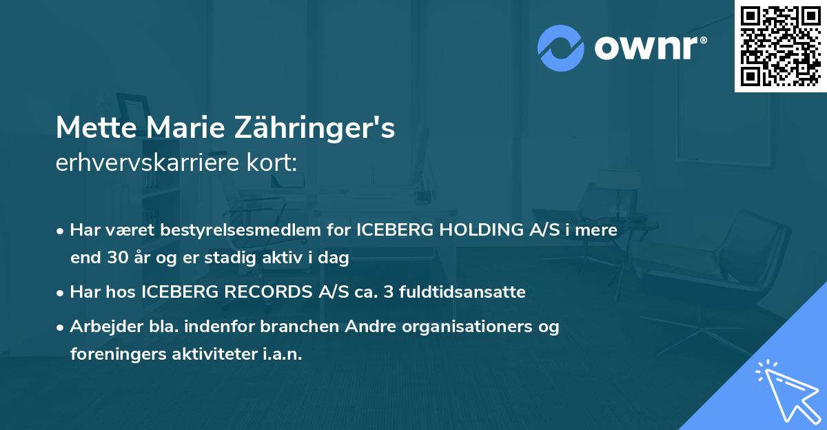 Mette Marie Zähringer's erhvervskarriere kort