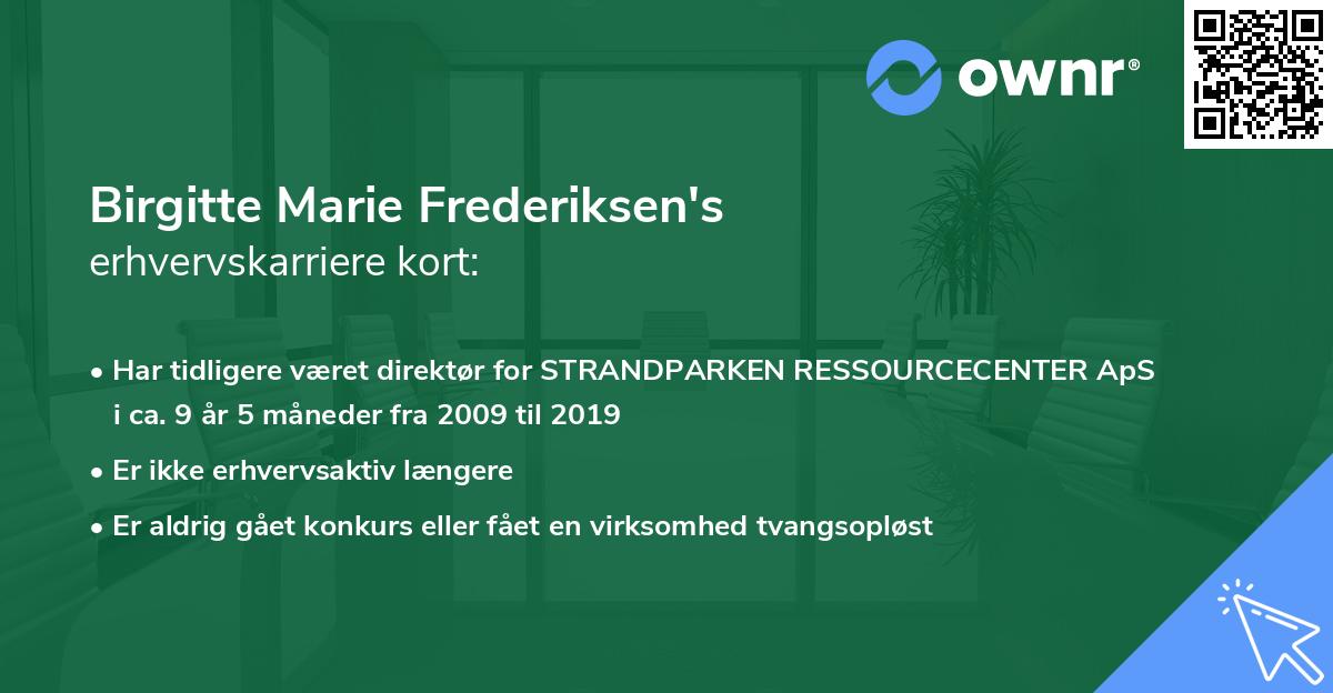 Birgitte Marie Frederiksen's erhvervskarriere kort
