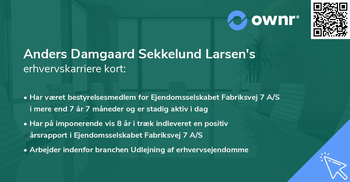 Anders Damgaard Sekkelund Larsen's erhvervskarriere kort