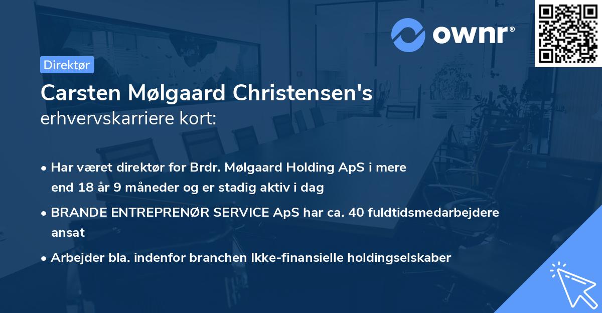 Carsten Mølgaard Christensen's erhvervskarriere kort