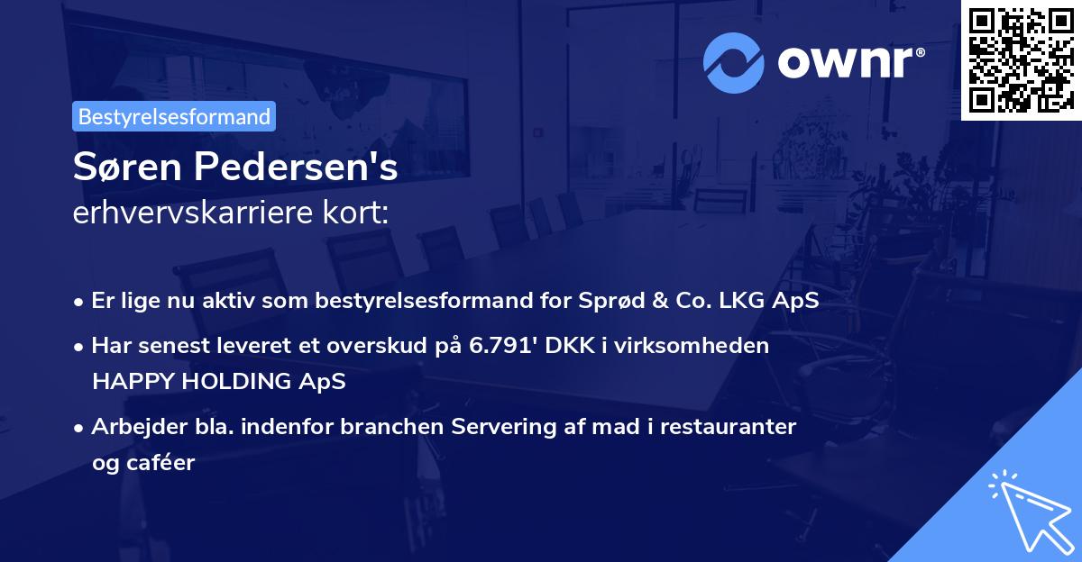 Søren Pedersen's erhvervskarriere kort