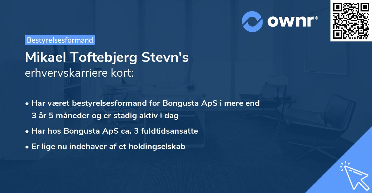 Mikael Toftebjerg Stevn's erhvervskarriere kort