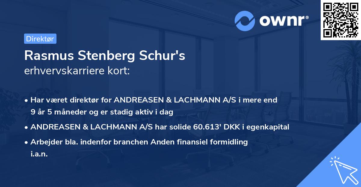 Rasmus Stenberg Schur's erhvervskarriere kort