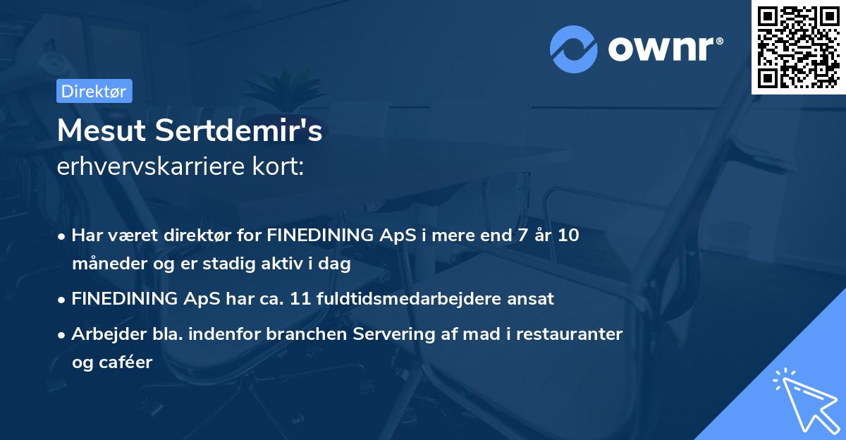 Mesut Sertdemir's erhvervskarriere kort