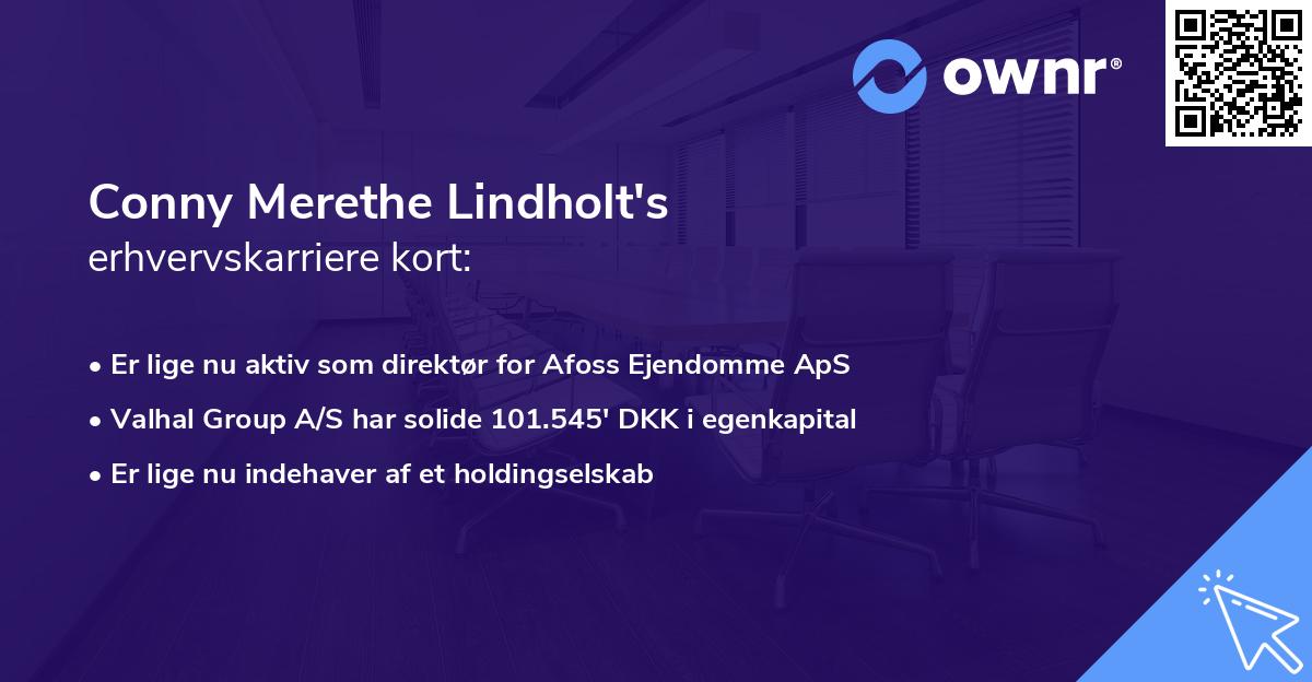 Conny Merethe Lindholt's erhvervskarriere kort