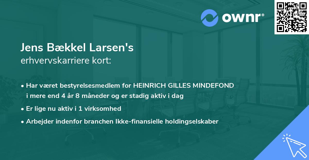 Jens Bækkel Larsen's erhvervskarriere kort