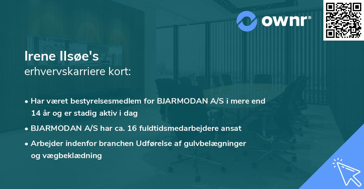 Irene Ilsøe's erhvervskarriere kort