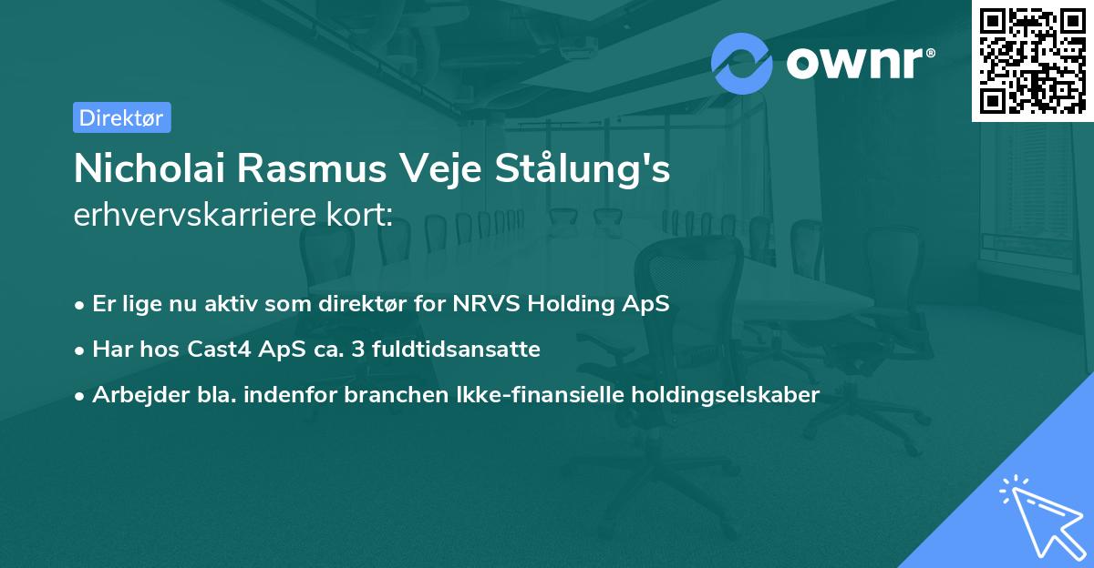 Nicholai Rasmus Veje Stålung's erhvervskarriere kort