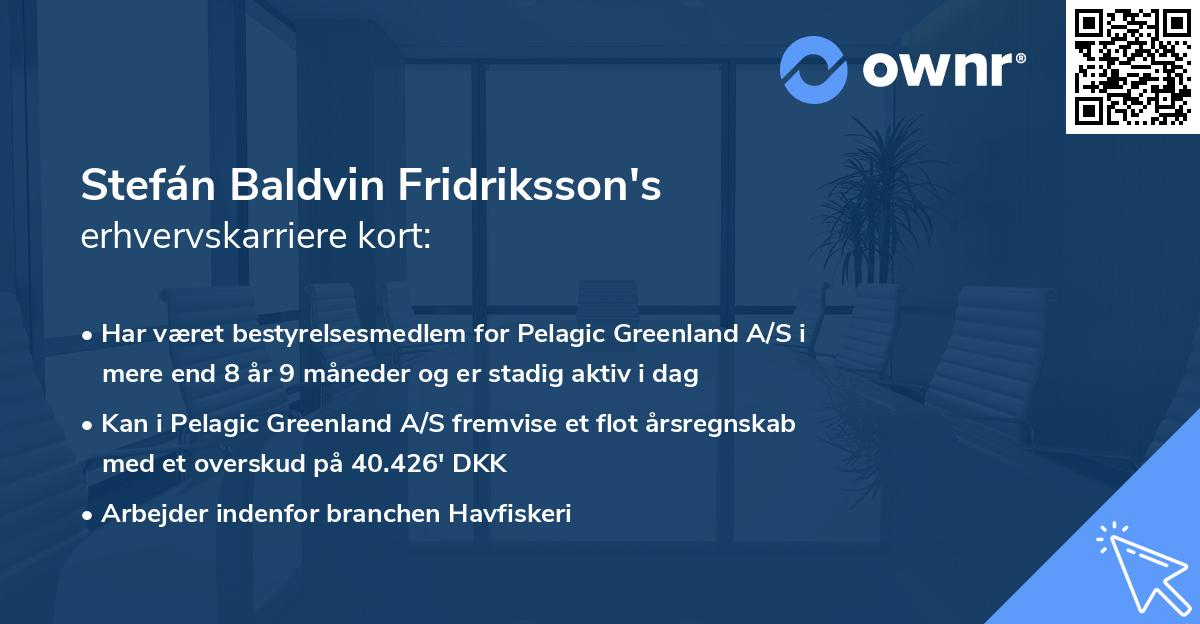 Stefán Baldvin Fridriksson's erhvervskarriere kort