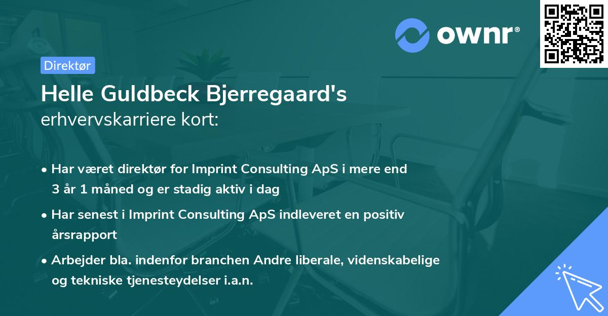 Helle Guldbeck Bjerregaard's erhvervskarriere kort