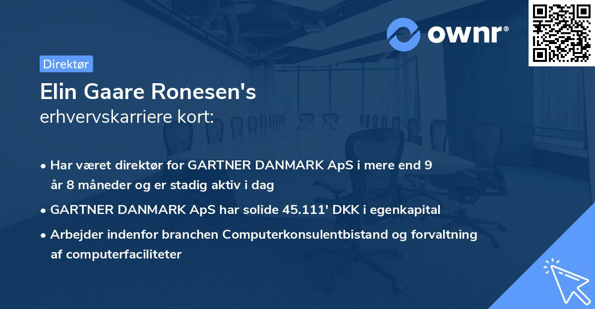 Elin Gaare Ronesen's erhvervskarriere kort
