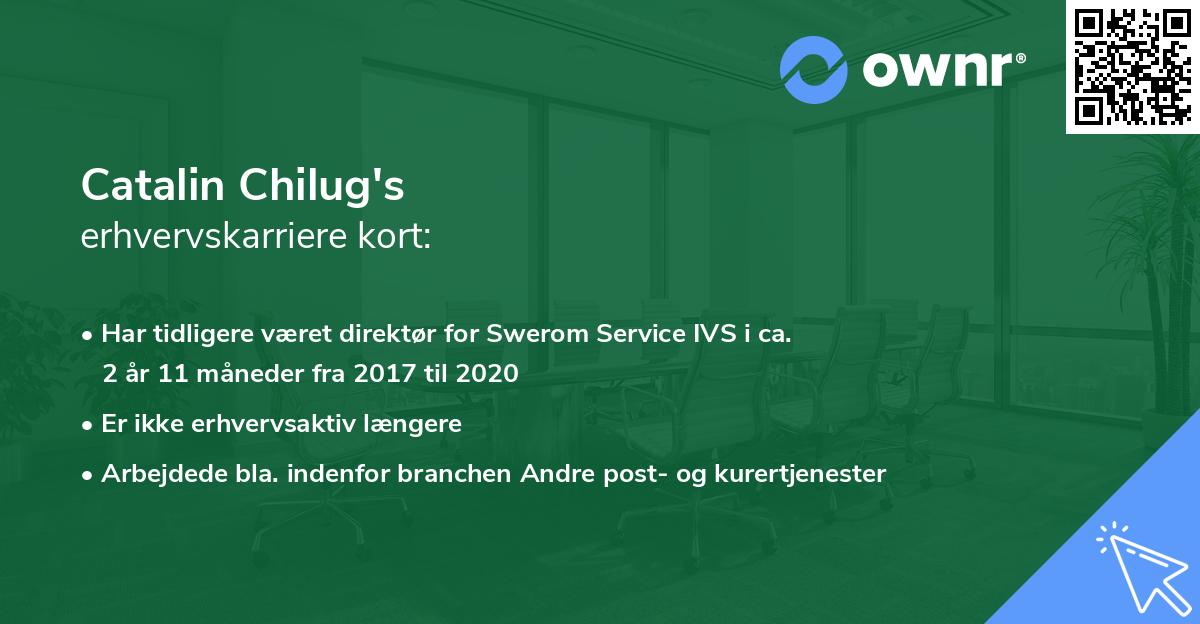 Catalin Chilug's erhvervskarriere kort