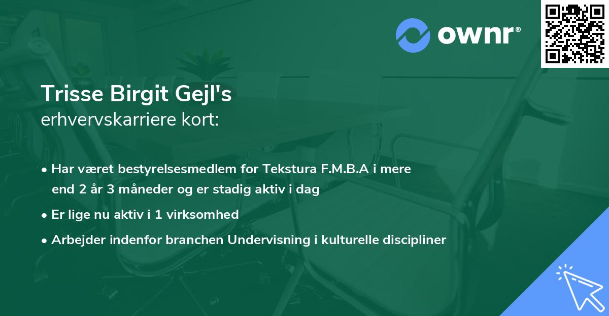 Trisse Birgit Gejl's erhvervskarriere kort