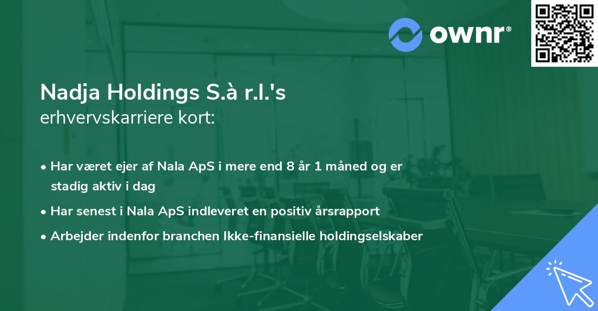 Nadja Holdings S.à r.l.'s erhvervskarriere kort