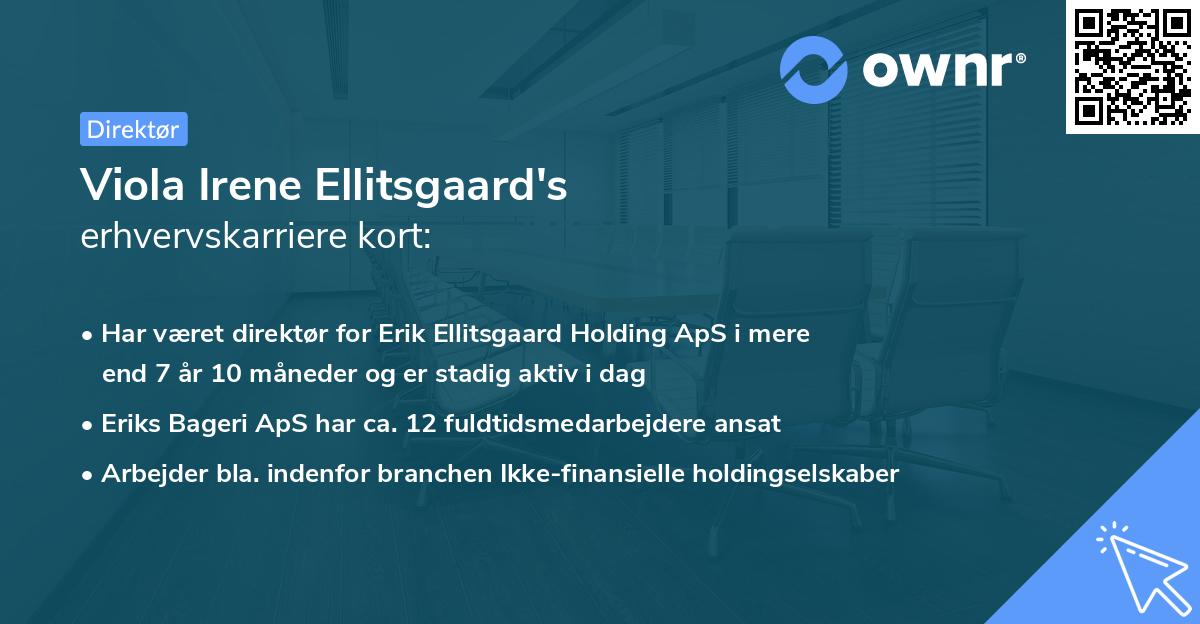 Viola Irene Ellitsgaard's erhvervskarriere kort