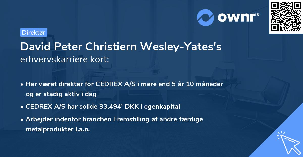 David Peter Christiern Wesley-Yates's erhvervskarriere kort