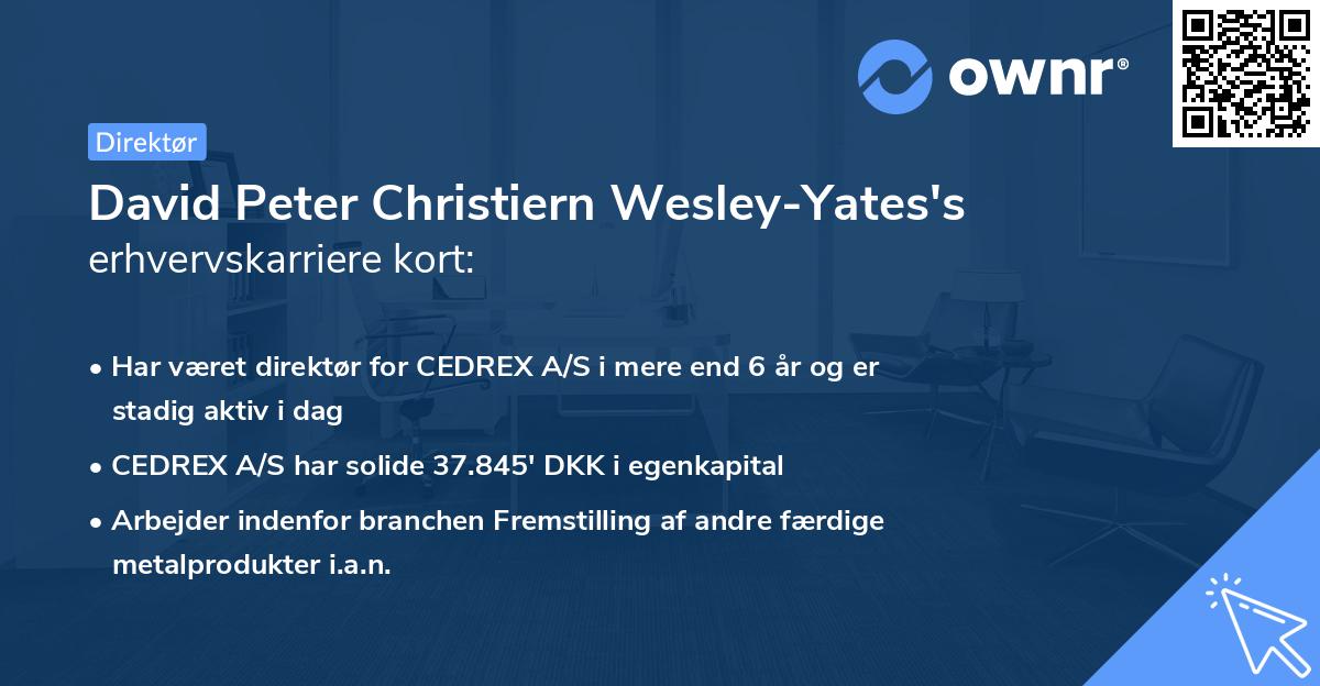 David Peter Christiern Wesley-Yates's erhvervskarriere kort