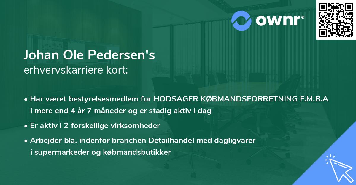 Johan Ole Pedersen's erhvervskarriere kort