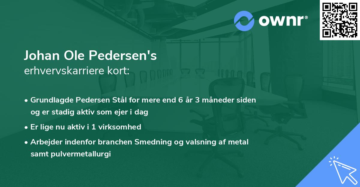 Johan Ole Pedersen's erhvervskarriere kort