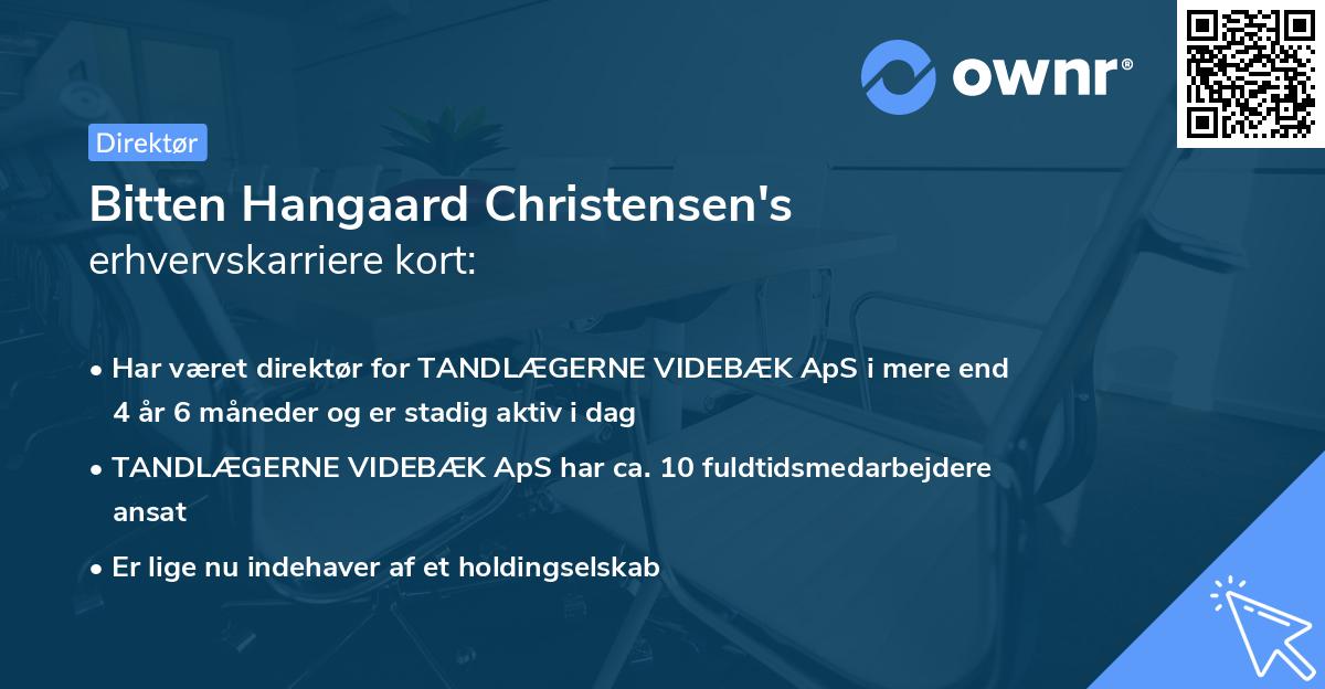 Bitten Hangaard Christensen's erhvervskarriere kort