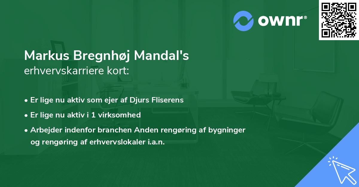 Markus Bregnhøj Mandal's erhvervskarriere kort