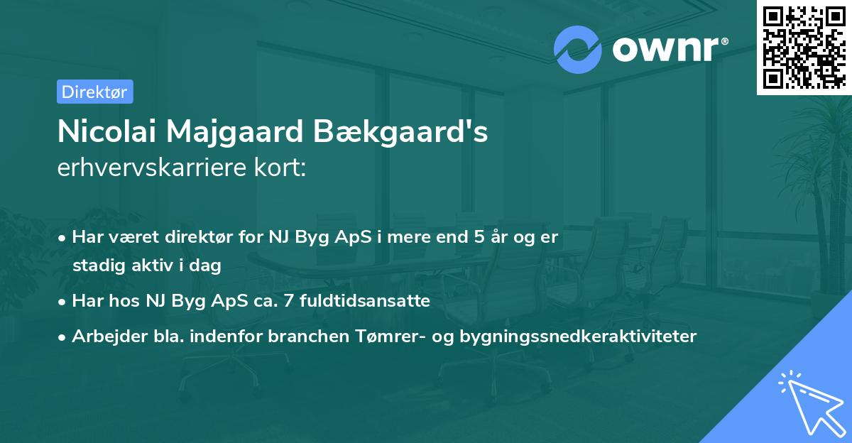 Nicolai Majgaard Bækgaard's erhvervskarriere kort