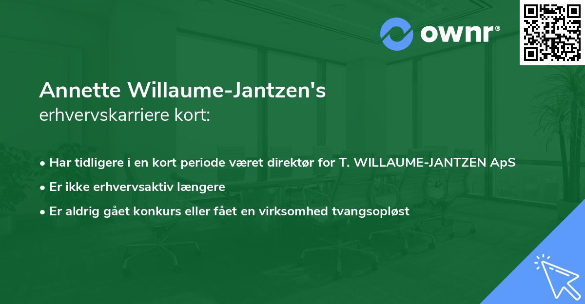 Annette Willaume-Jantzen's erhvervskarriere kort