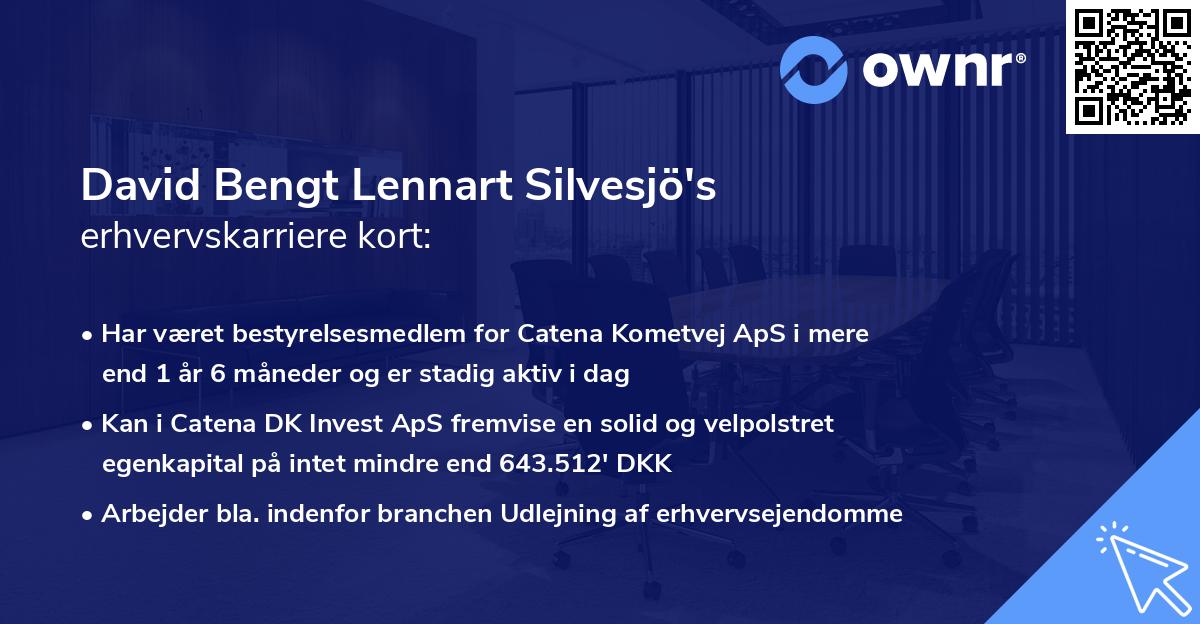 David Bengt Lennart Silvesjö's erhvervskarriere kort