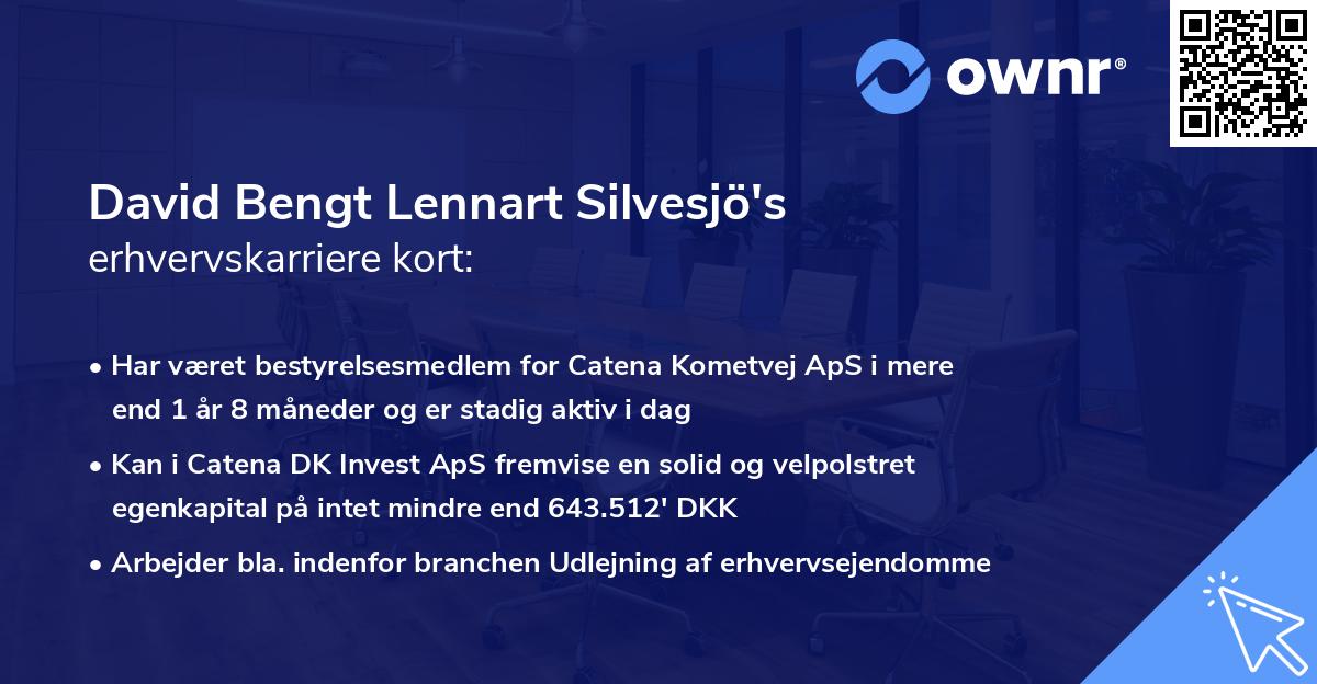 David Bengt Lennart Silvesjö's erhvervskarriere kort