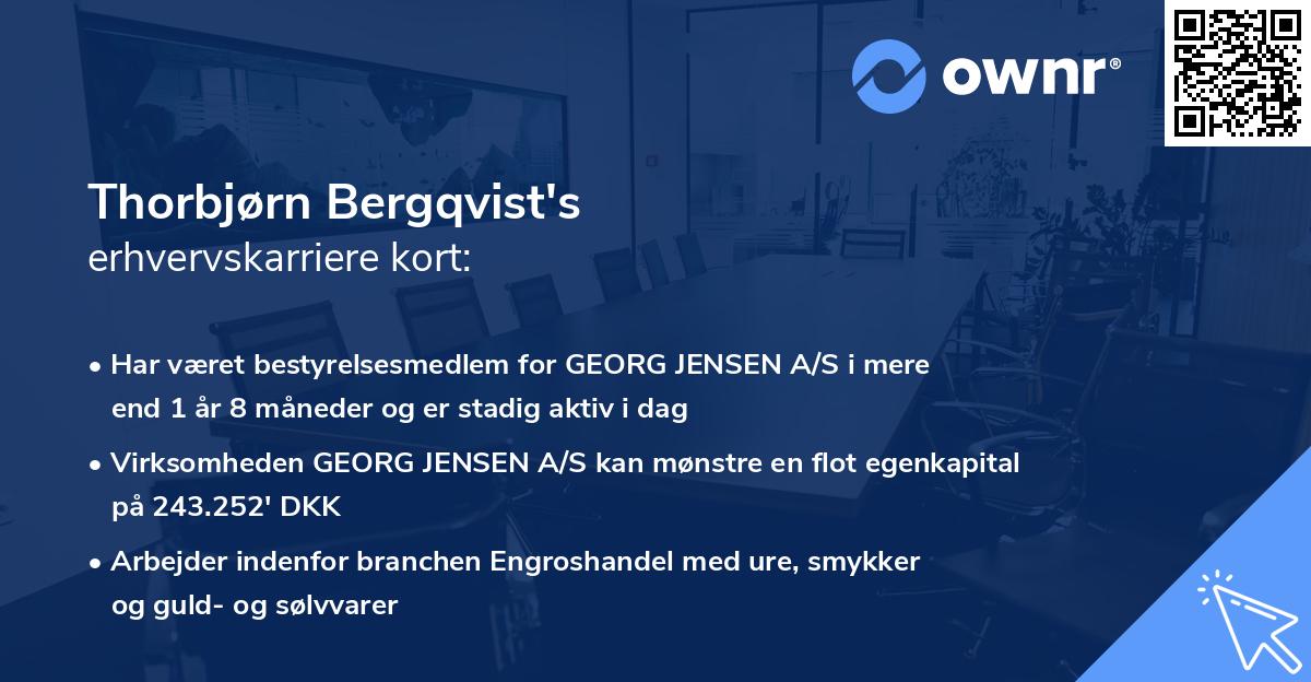 Thorbjørn Bergqvist's erhvervskarriere kort