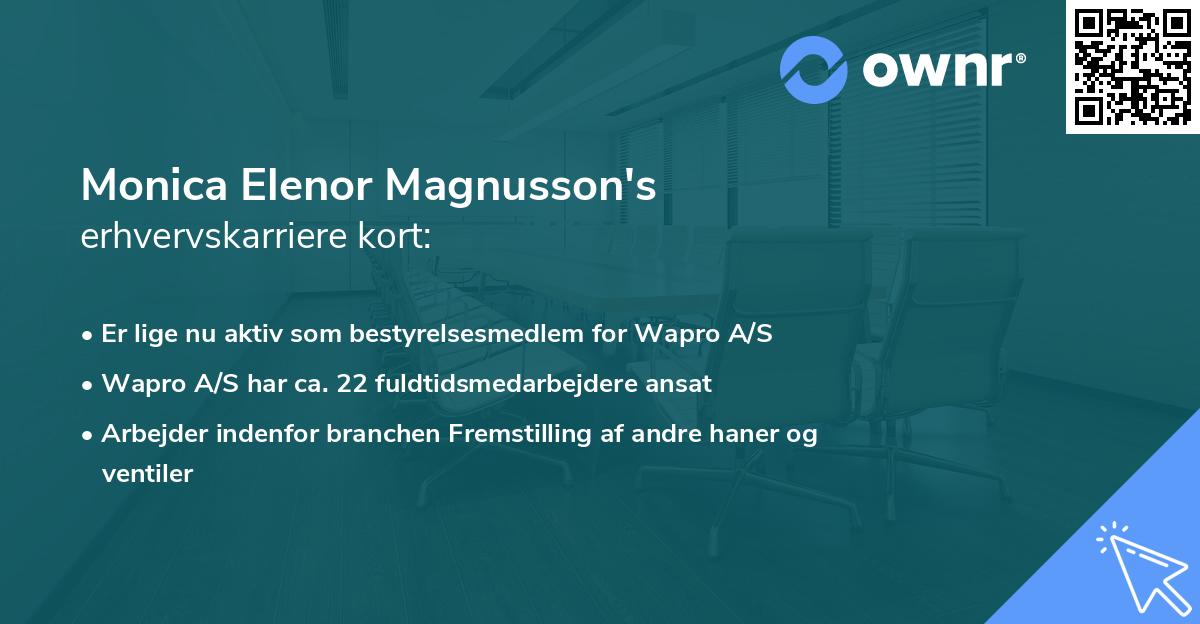 Monica Elenor Magnusson's erhvervskarriere kort