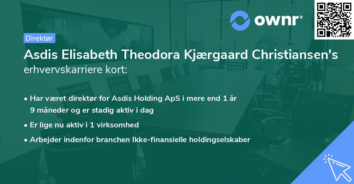 Asdis Elisabeth Theodora Kjærgaard Christiansen's erhvervskarriere kort