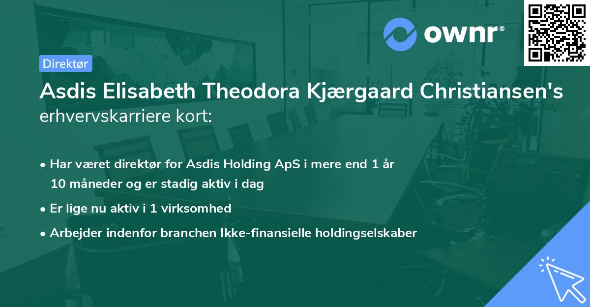 Asdis Elisabeth Theodora Kjærgaard Christiansen's erhvervskarriere kort