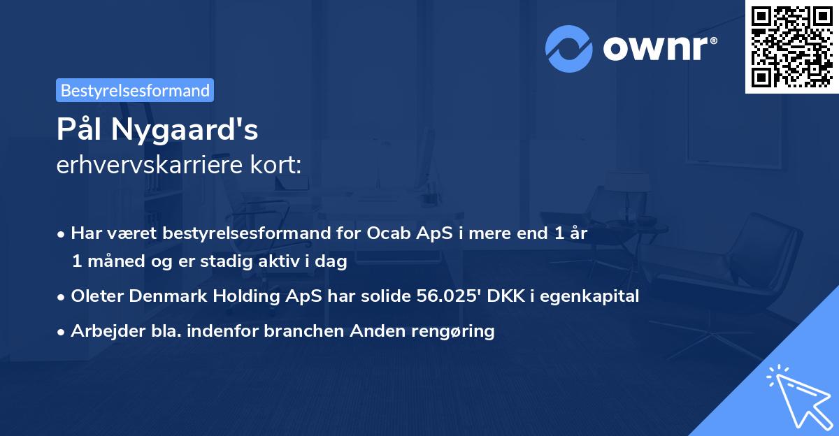 Pål Nygaard's erhvervskarriere kort